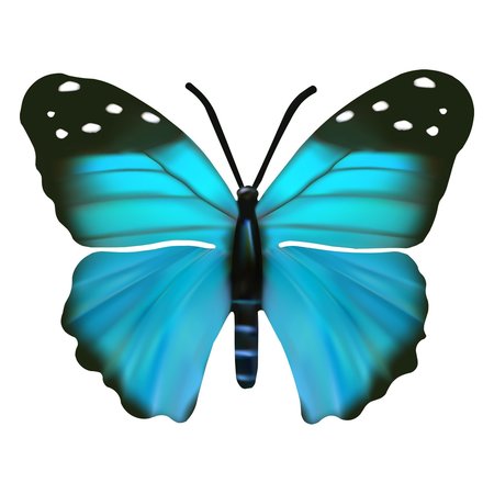 NEXT INNOVATIONS Blue Small Butterfly Wall Art 101410064-BLUE